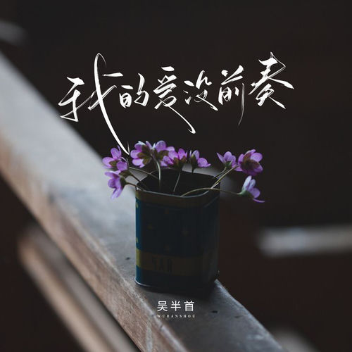 我的爱没前奏