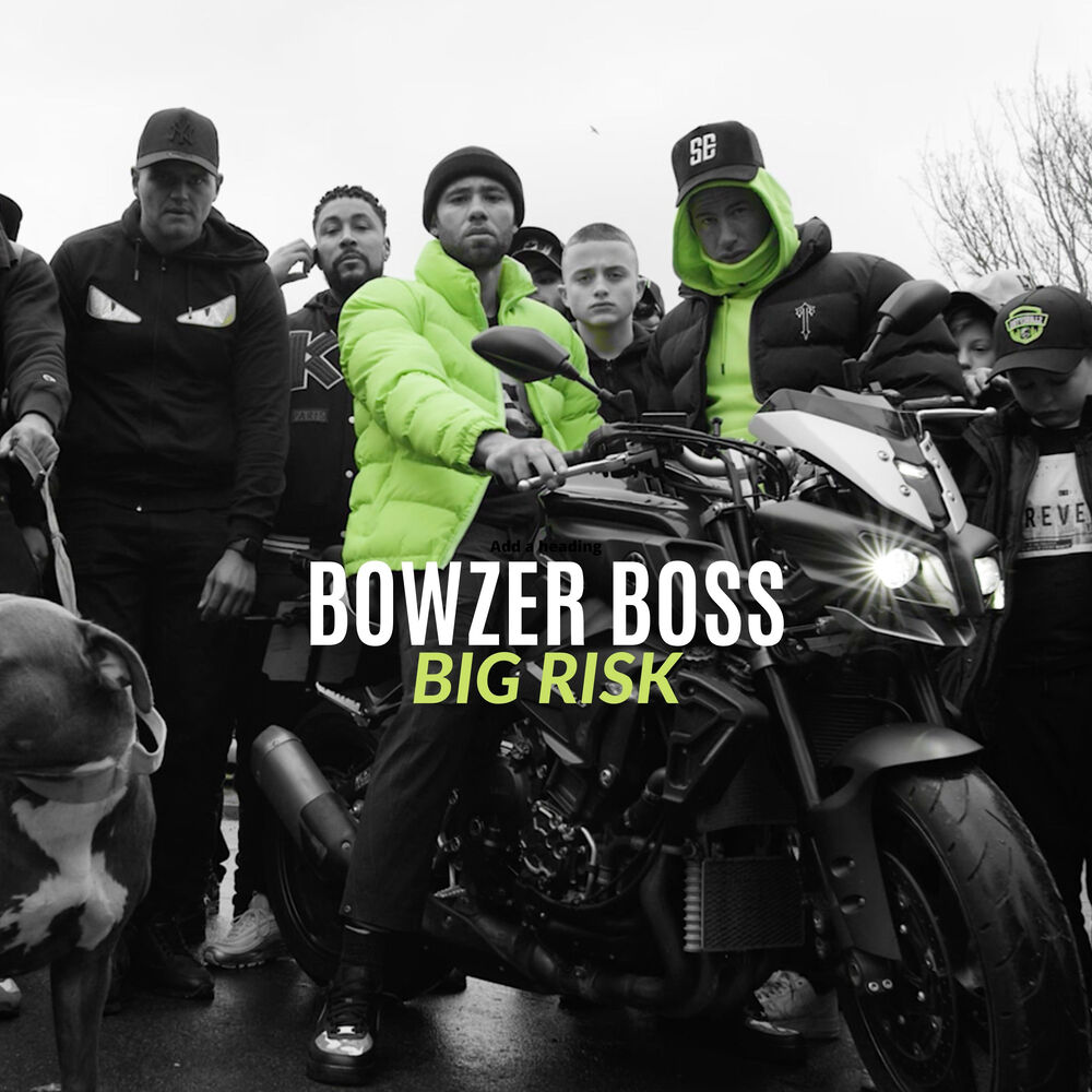 Picture of Big Risk