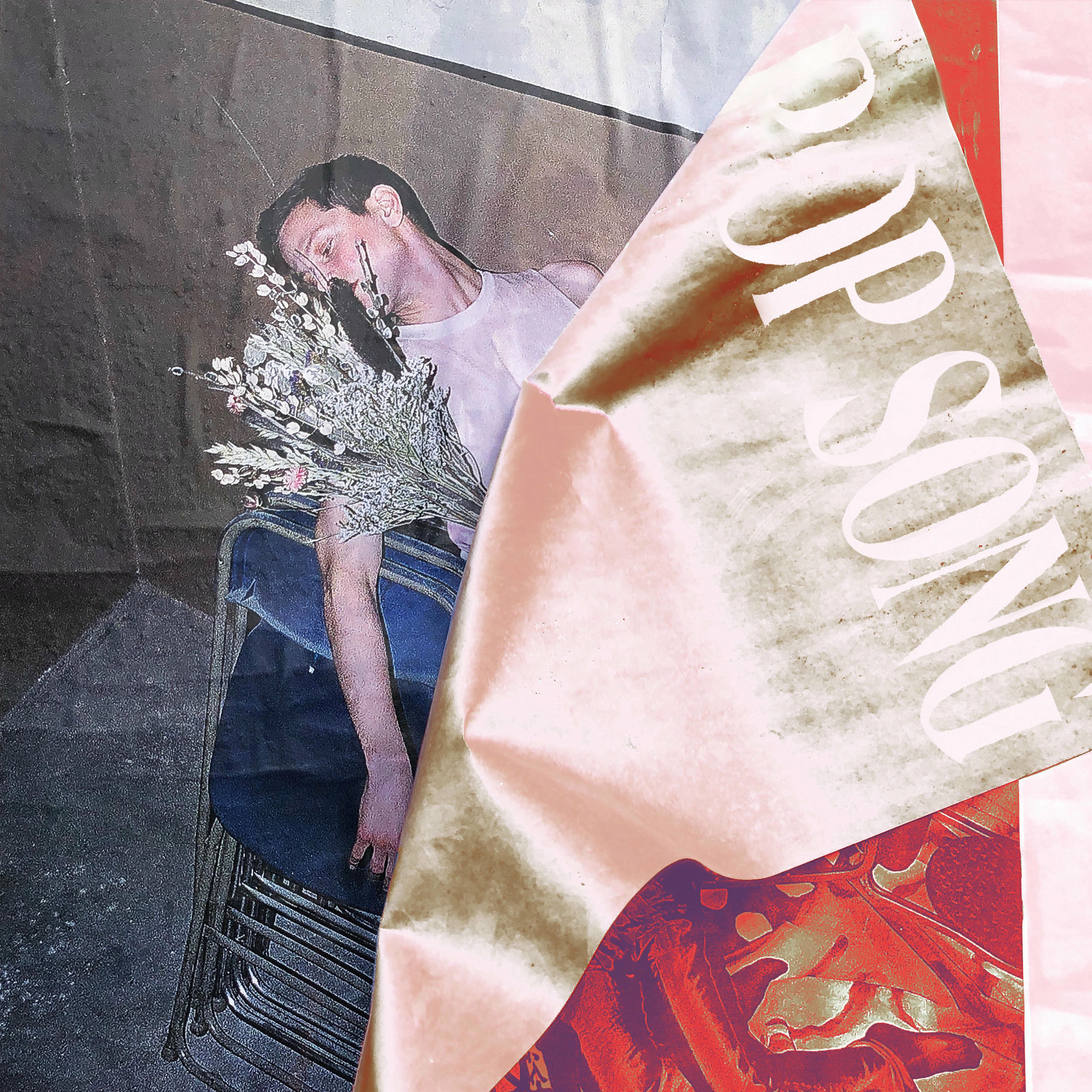 Album cover of Pop Song