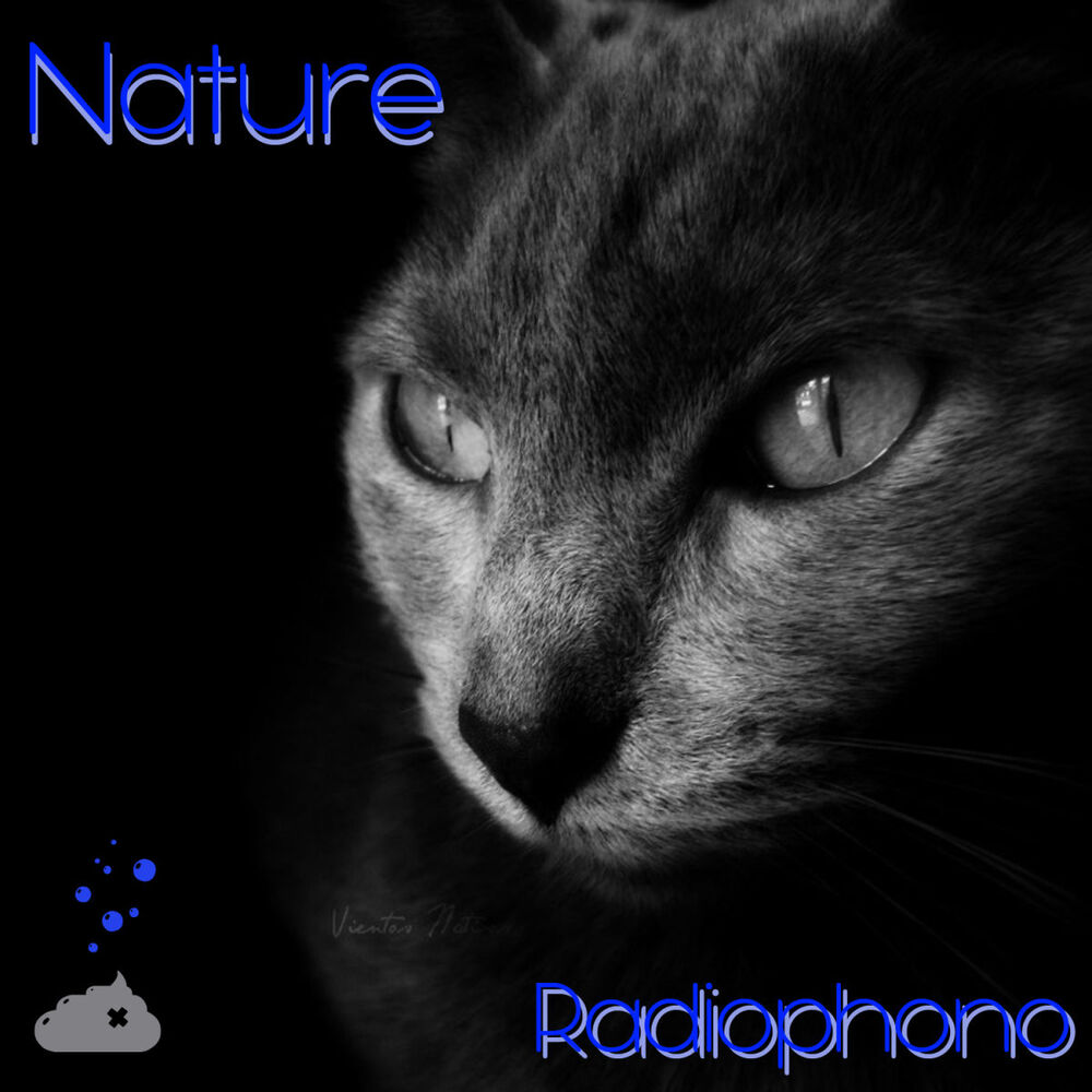Picture of Radiophono - Nature (MP3 Single)