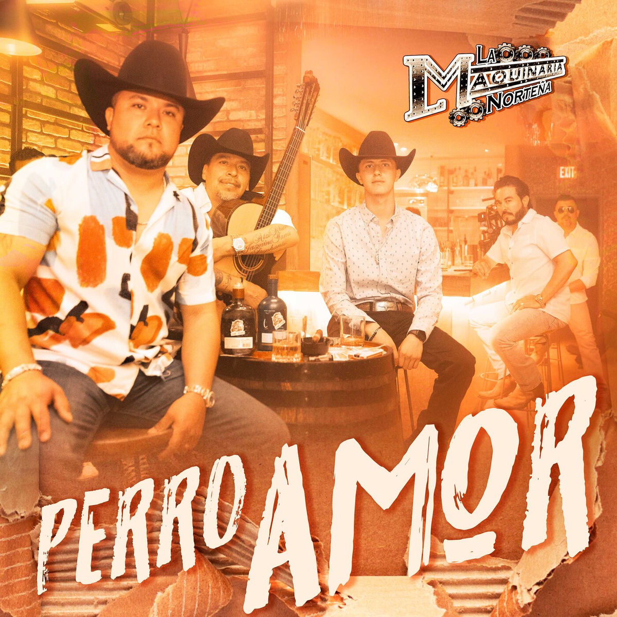 Album cover of Perro Amor