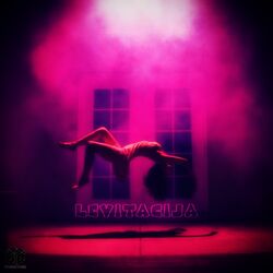 Cover of Levitacija