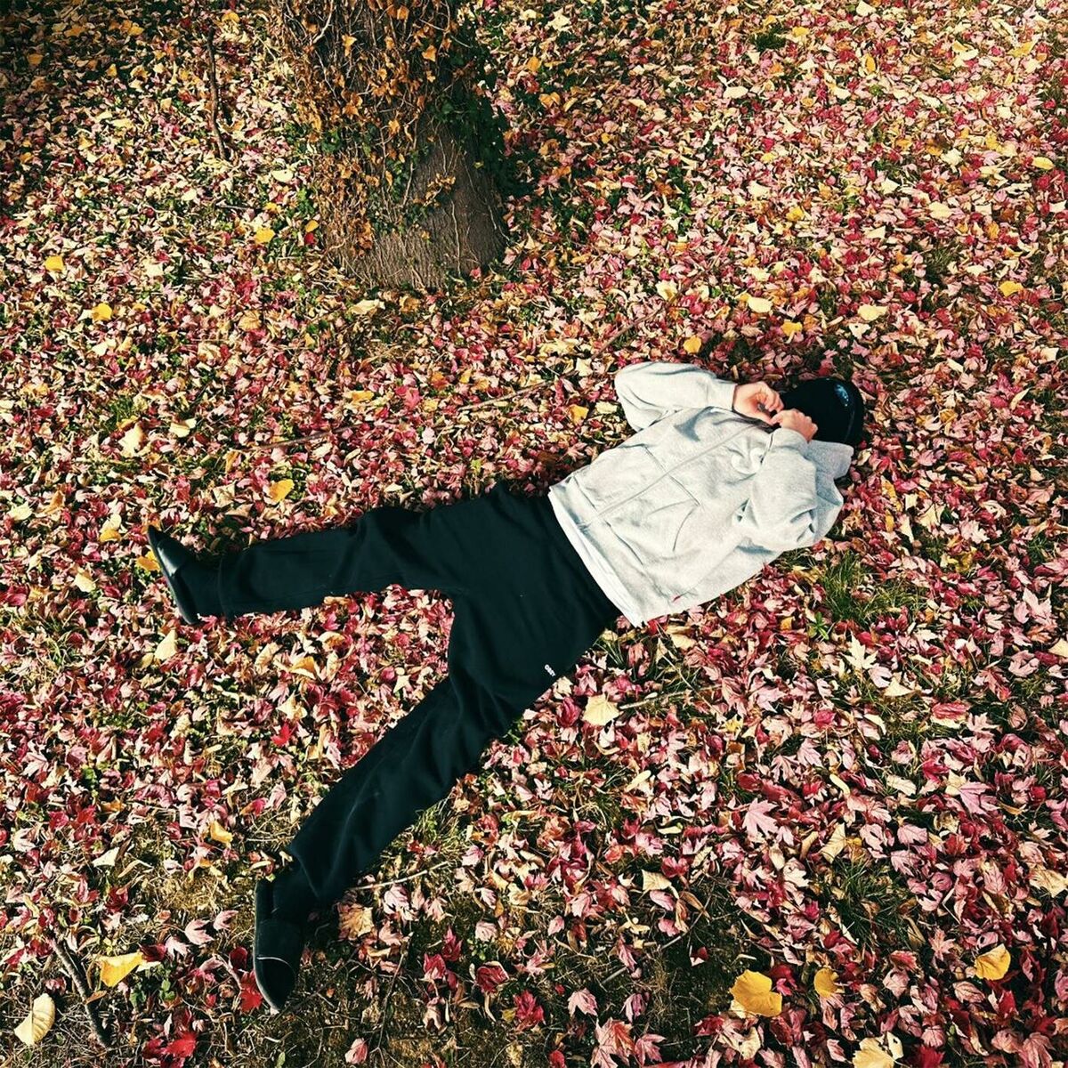 Album cover of Mon Coeur