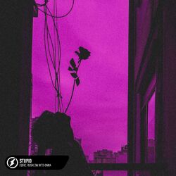 Cover of Stupid
