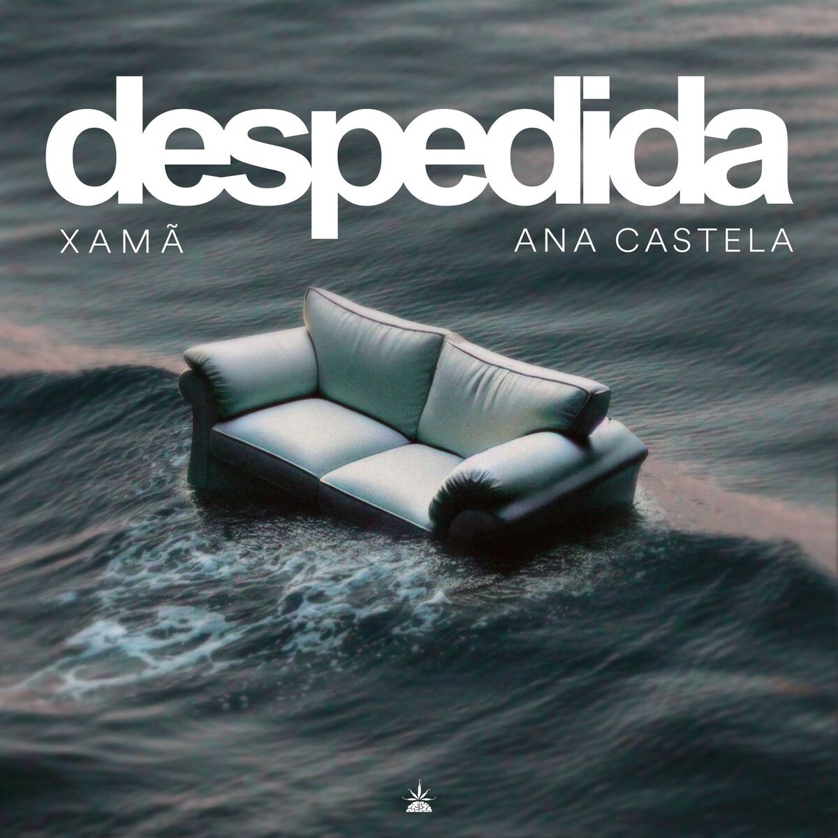 Album cover of Despedida