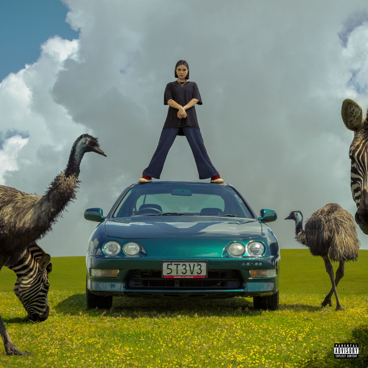 Album cover of STELLA & STEVE