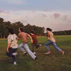 Cover of Dandelions