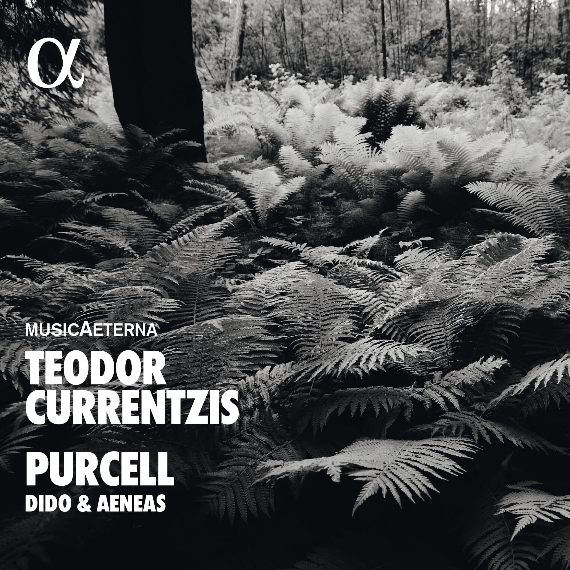 Album cover of Purcell: Dido and Aeneas