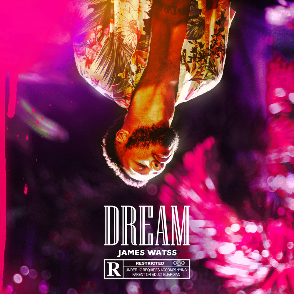 Picture of DREAM