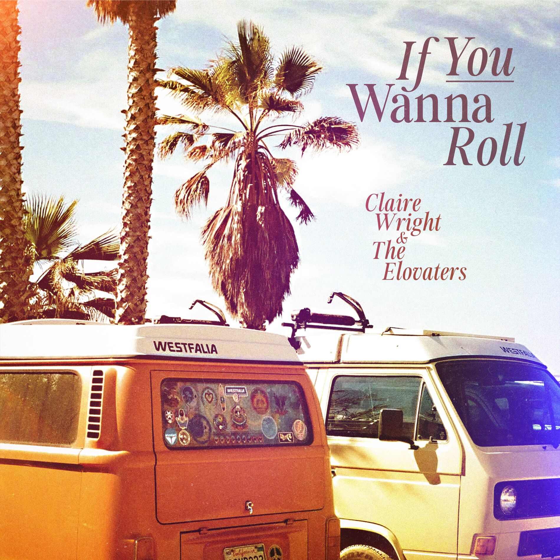 Album cover of If You Wanna Roll