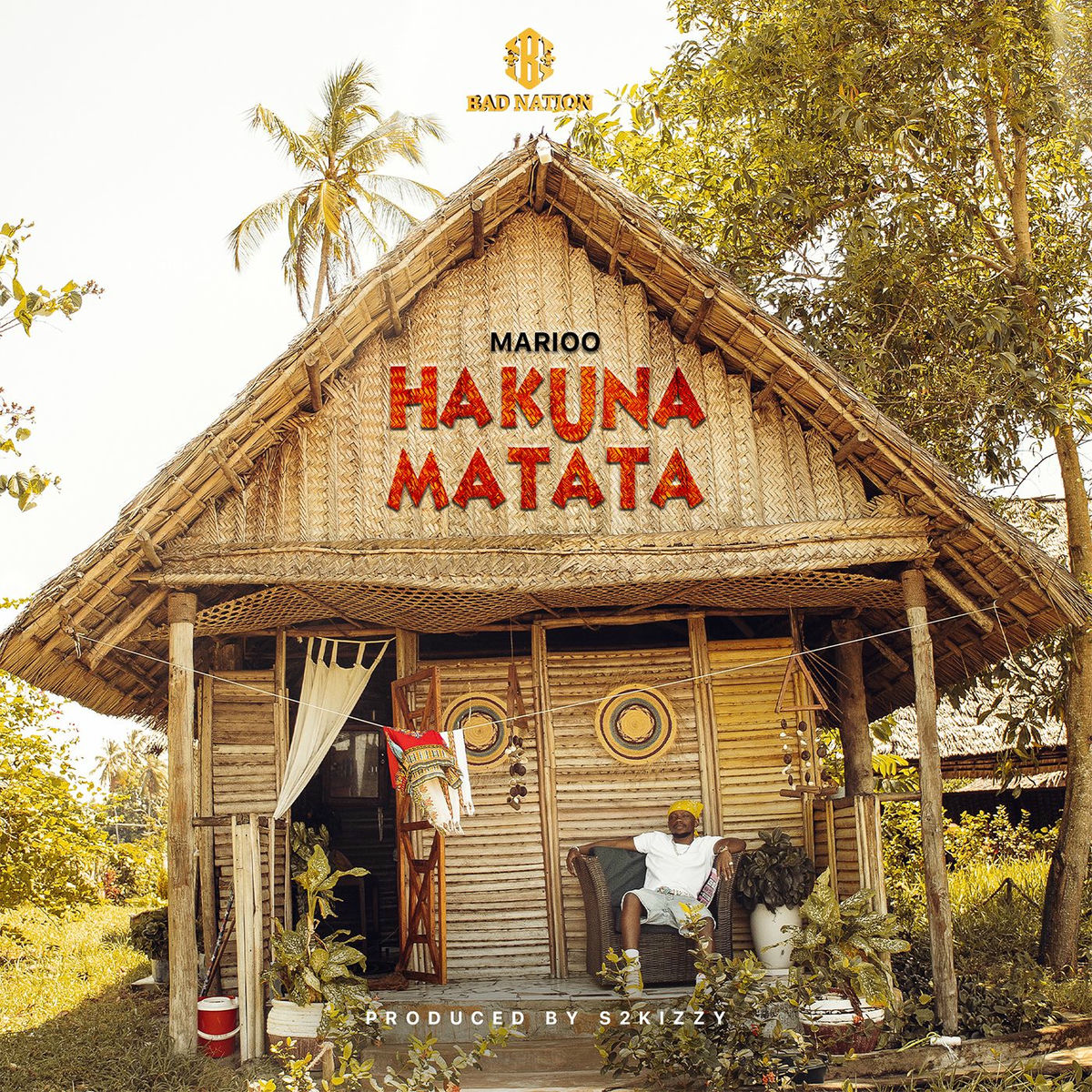 Album cover of Hakuna Matata