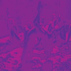Cover of Acid Guru Pond