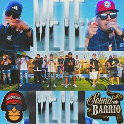 Cover of Vete (En Vivo)