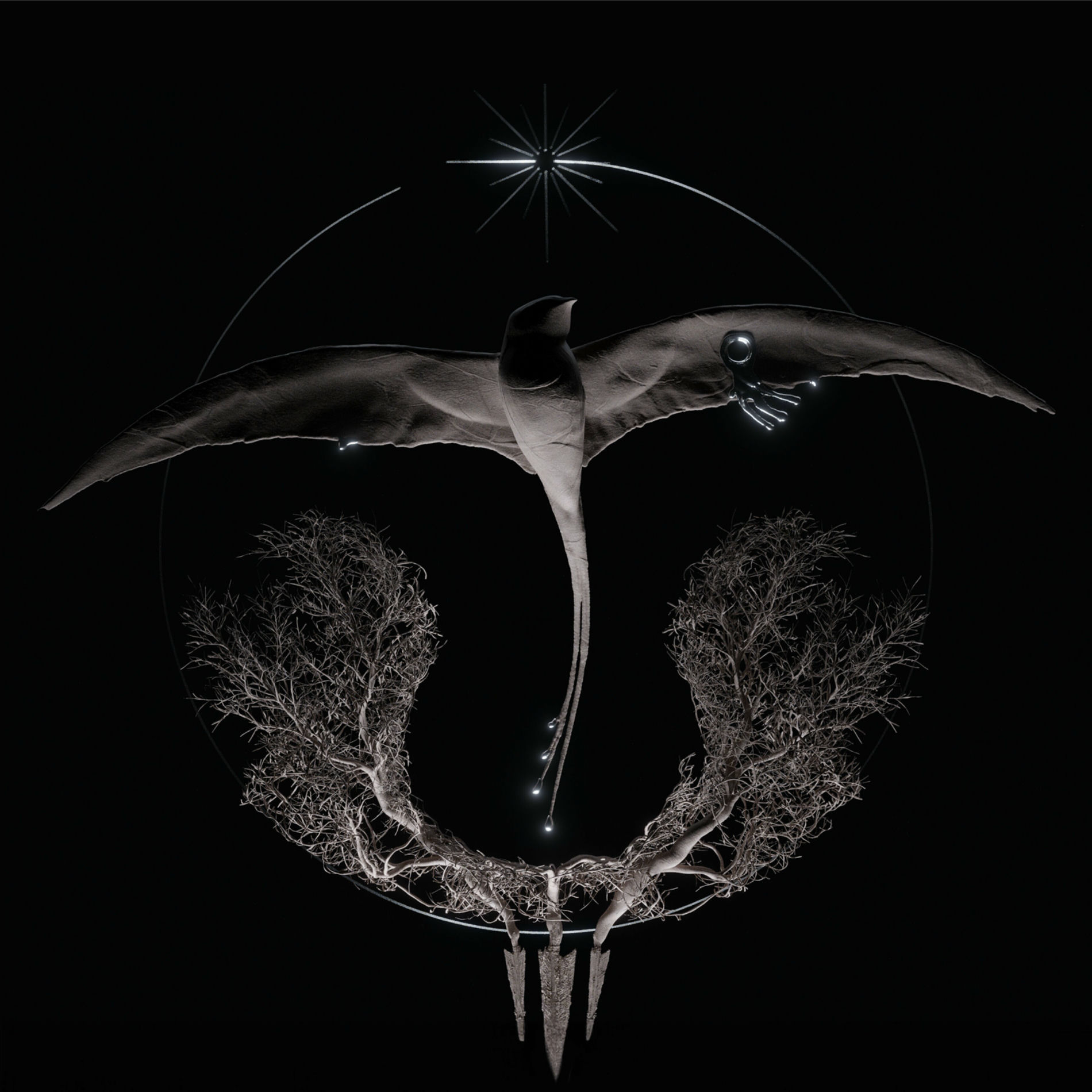 Album cover of Arise (Instrumental)