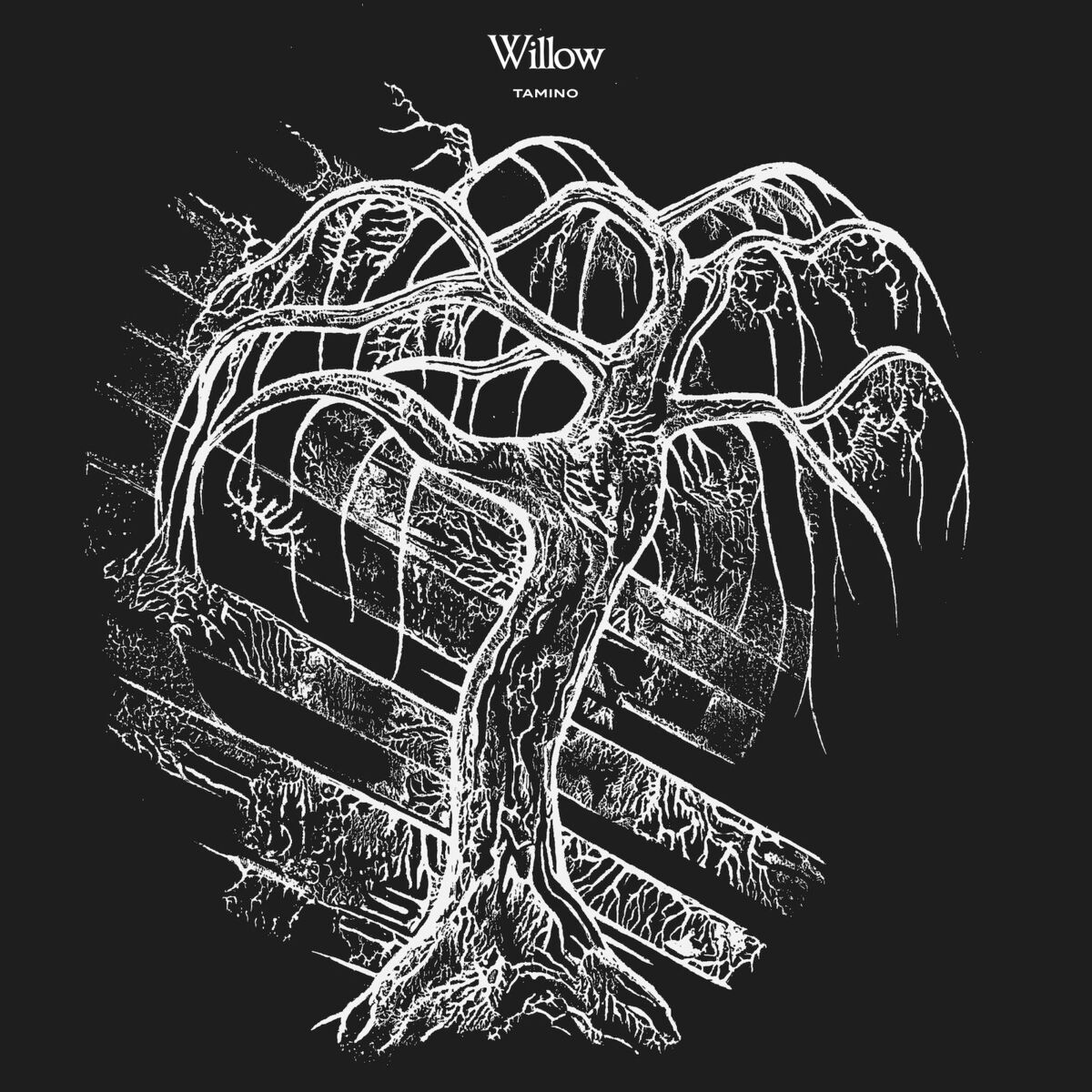 Album cover of Willow
