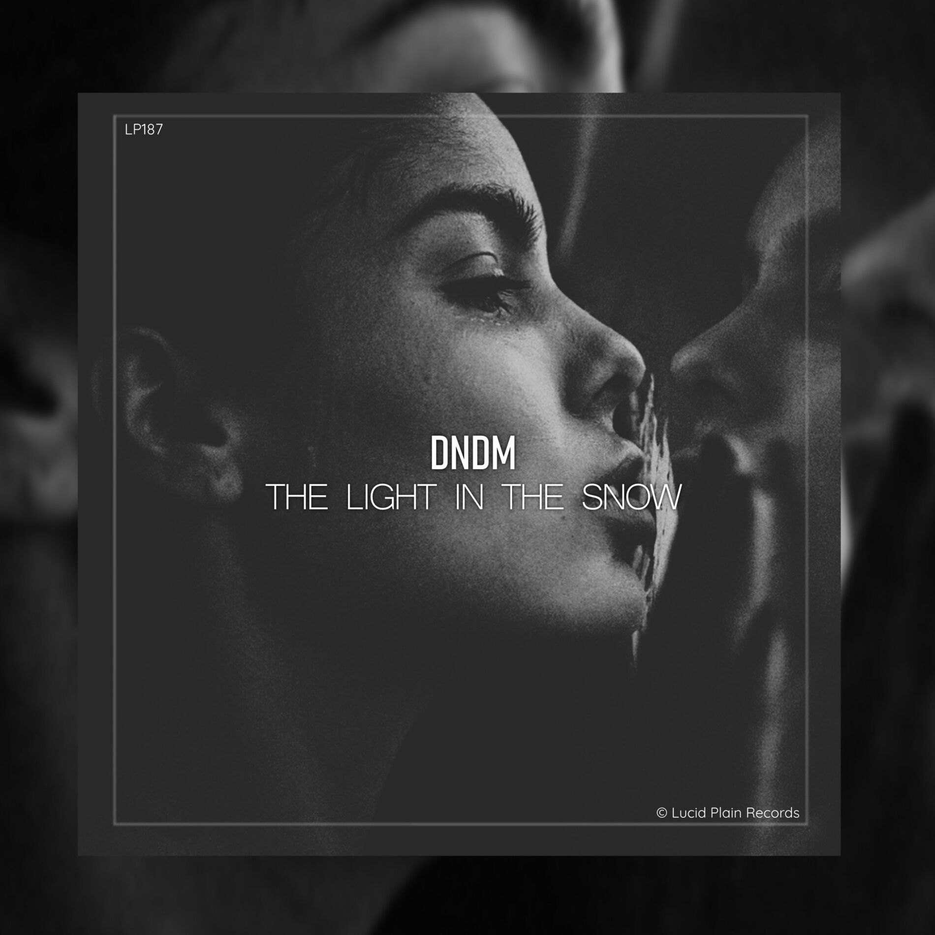 Album cover of The Light In The Snow