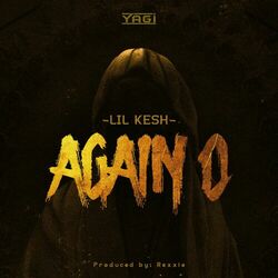 Cover of Again O