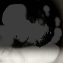 Cover of Apophenia