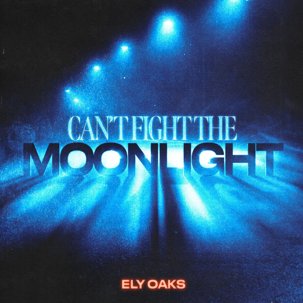 Album cover of Can't Fight The Moonlight