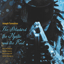 Cover of The Bluebird, the Mystic and the Fool