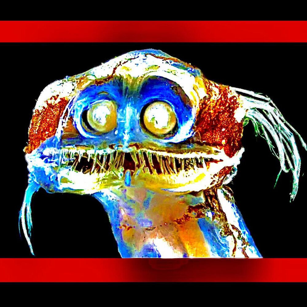 Picture of creature