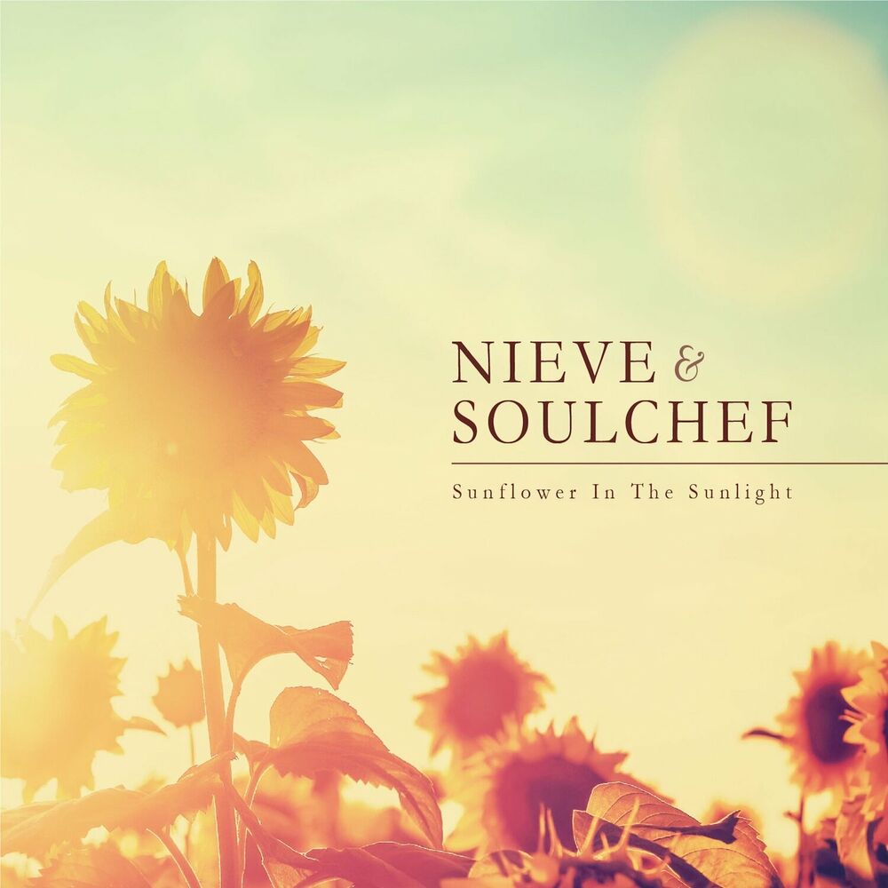 Picture of Sunflower in the Sunlight