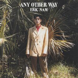 Cover of Any Other Way