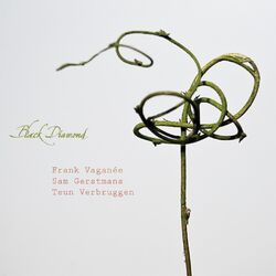 Cover of Black Diamond