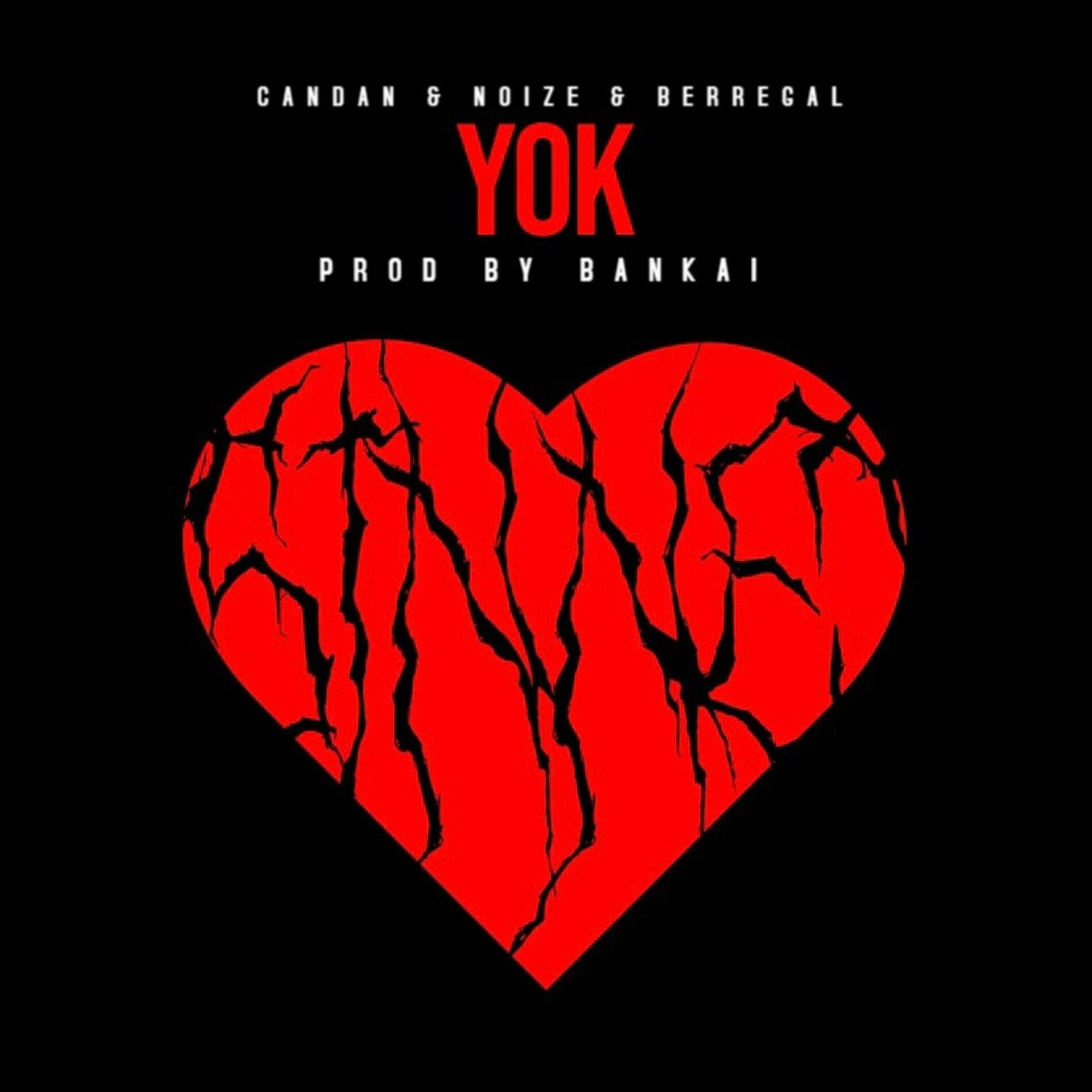 Album cover of YOK (feat. Noize & EMOxBERREGAL)