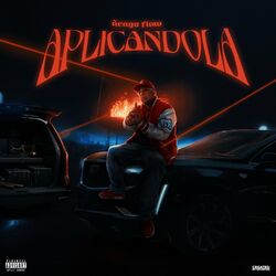 Cover of Aplicandola
