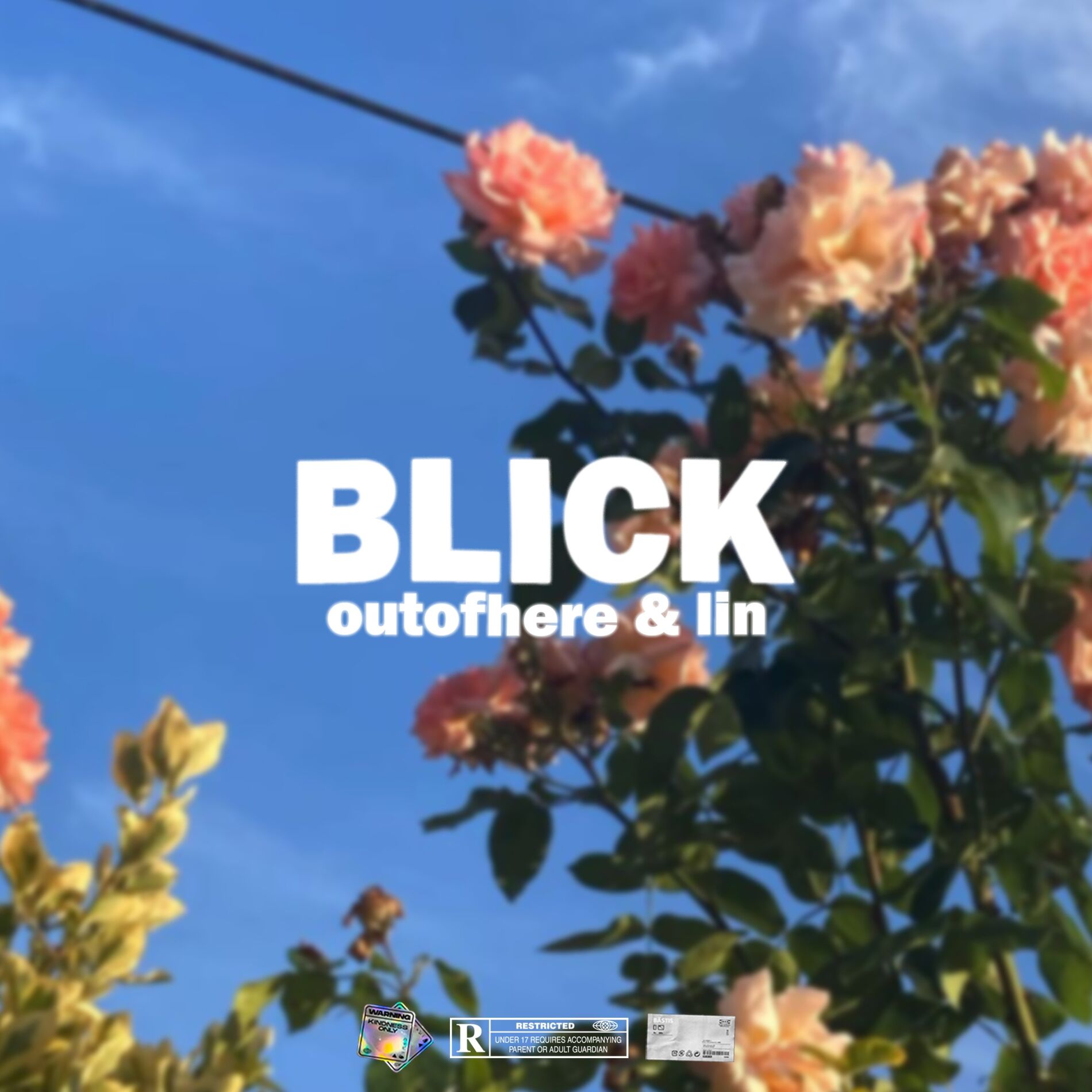 Album cover of Blick (feat. lin)
