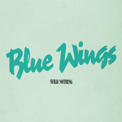 Cover of Blue Wings