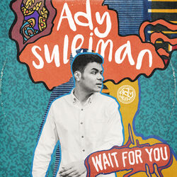 Cover of Wait For You