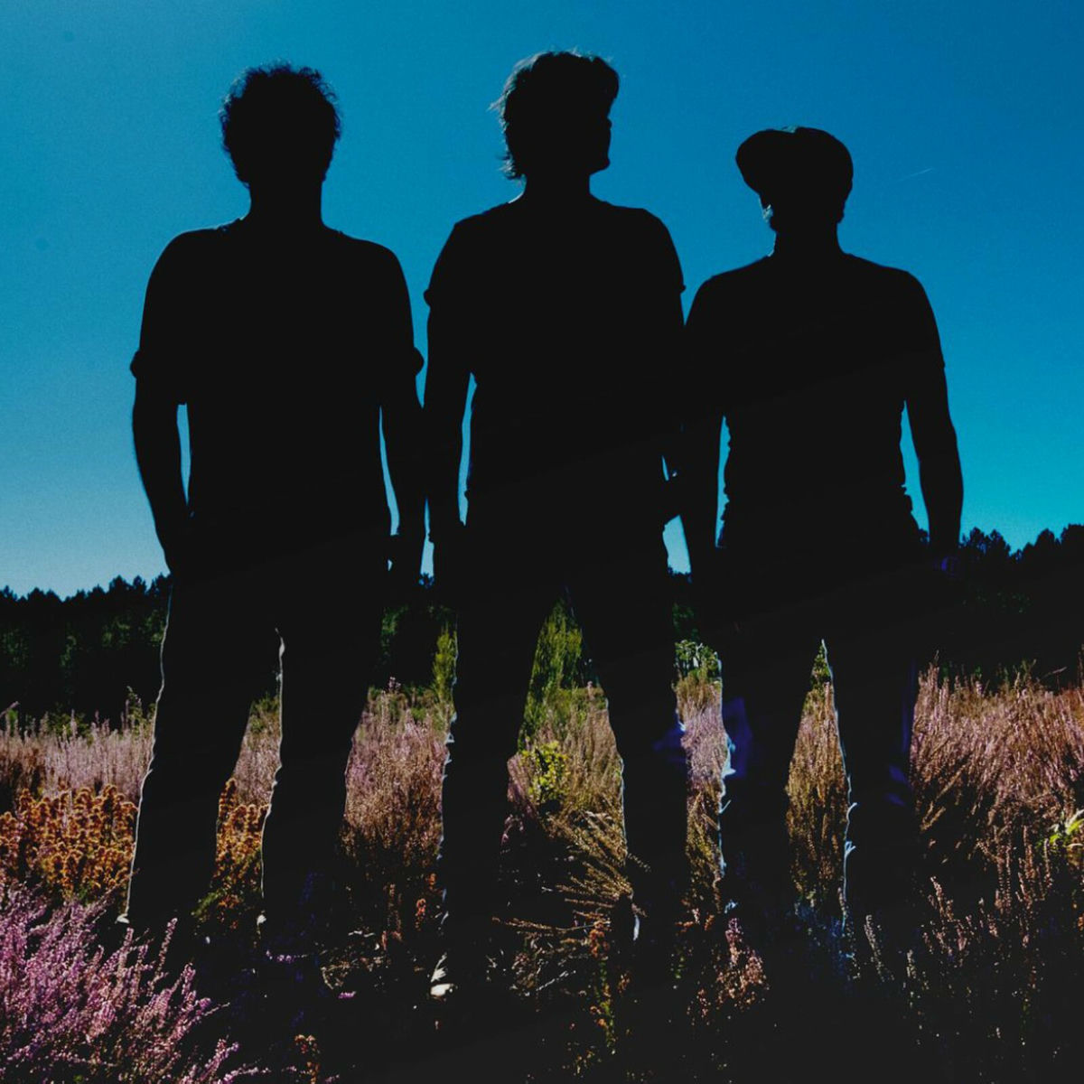 Album cover of L'ANGLE
