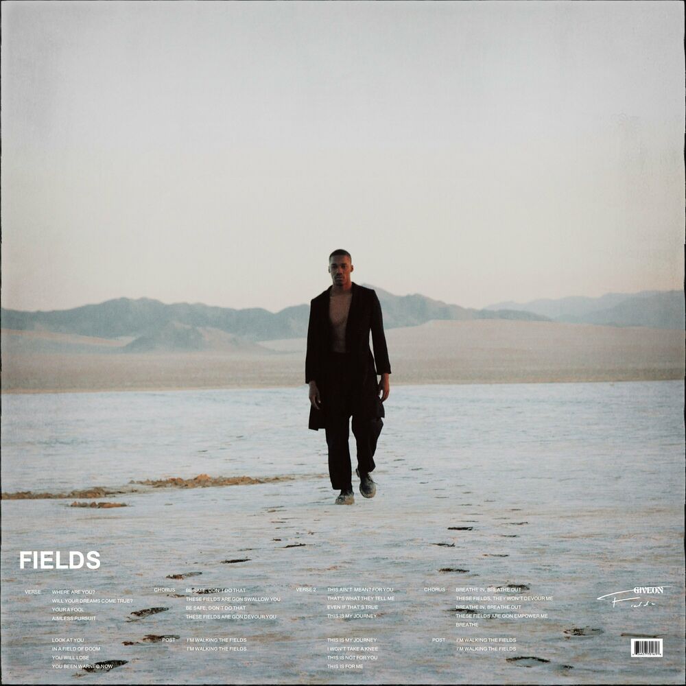 Picture of Fields
