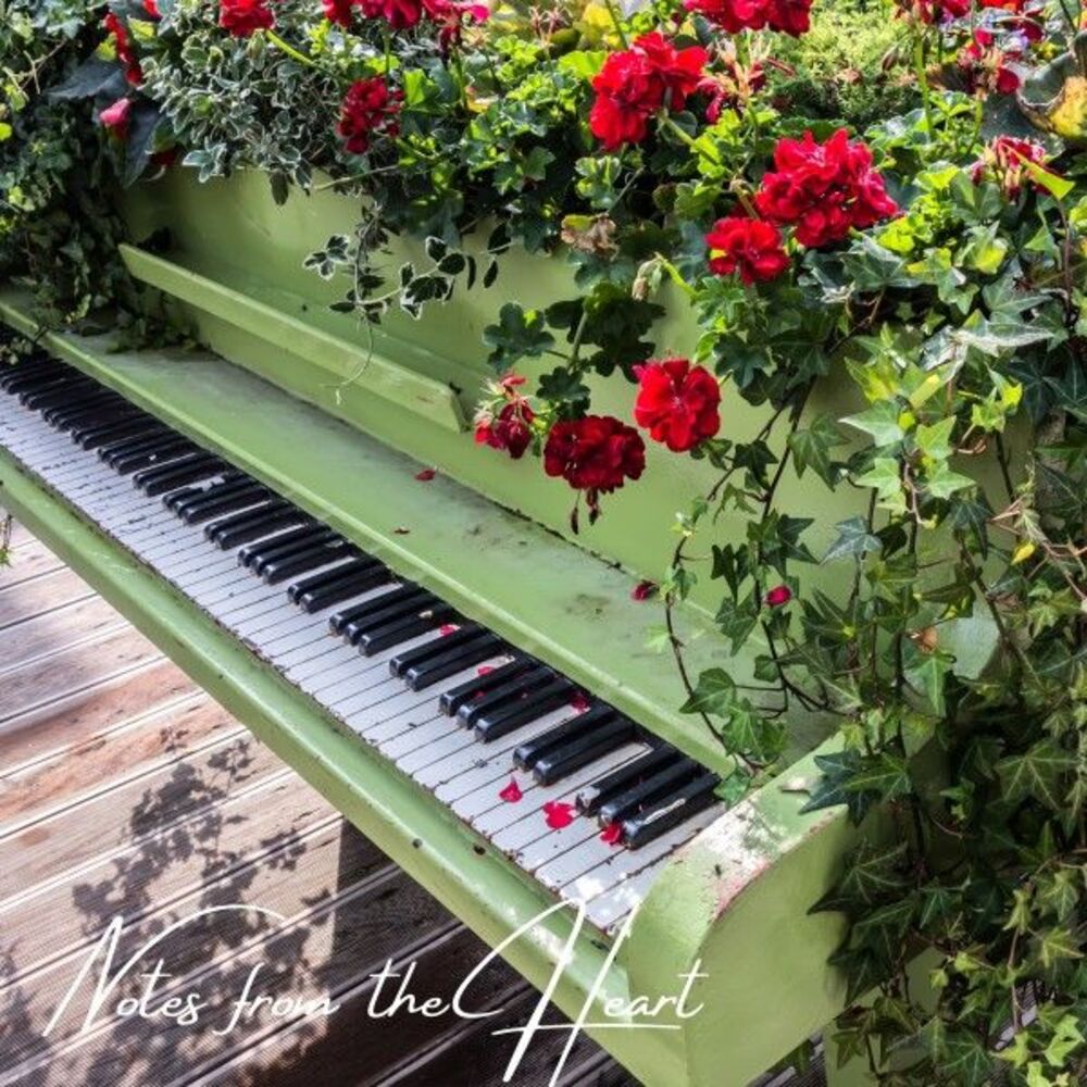Picture of Notes from the Heart