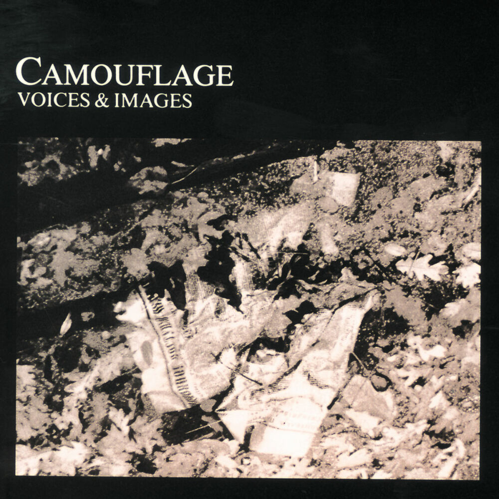 Picture of Voices & Images