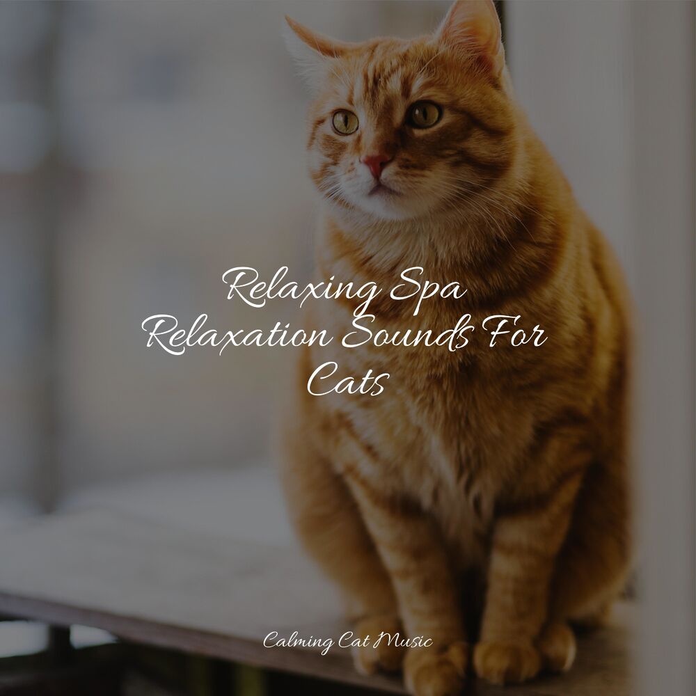 Picture of Relaxing Spa Relaxation Sounds For Cats