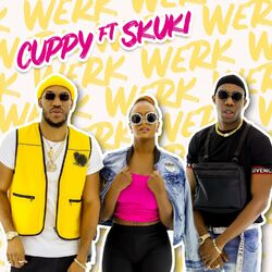 Cover of Werk