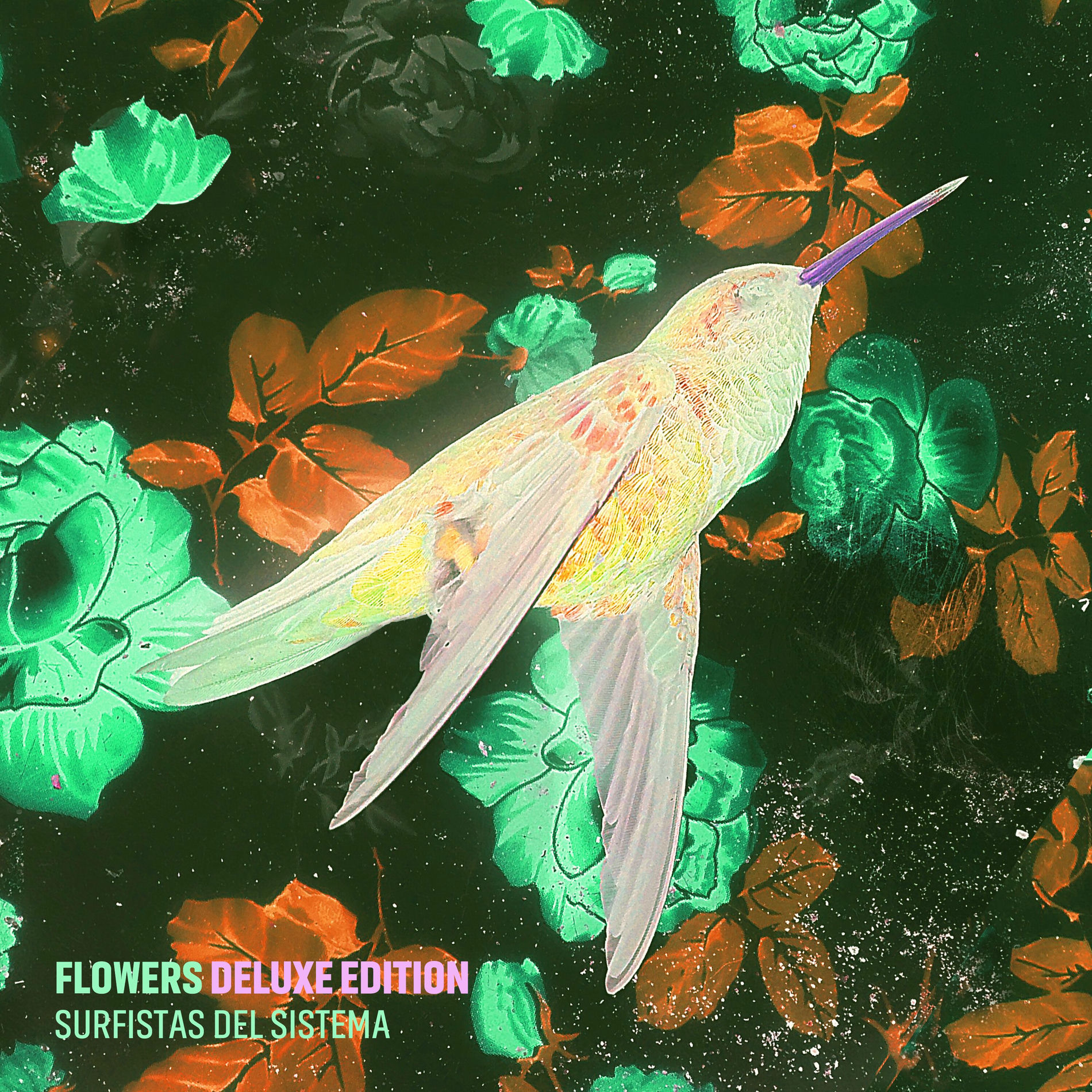 Album cover of La magia esta en tu piel