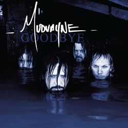 Cover of Goodbye
