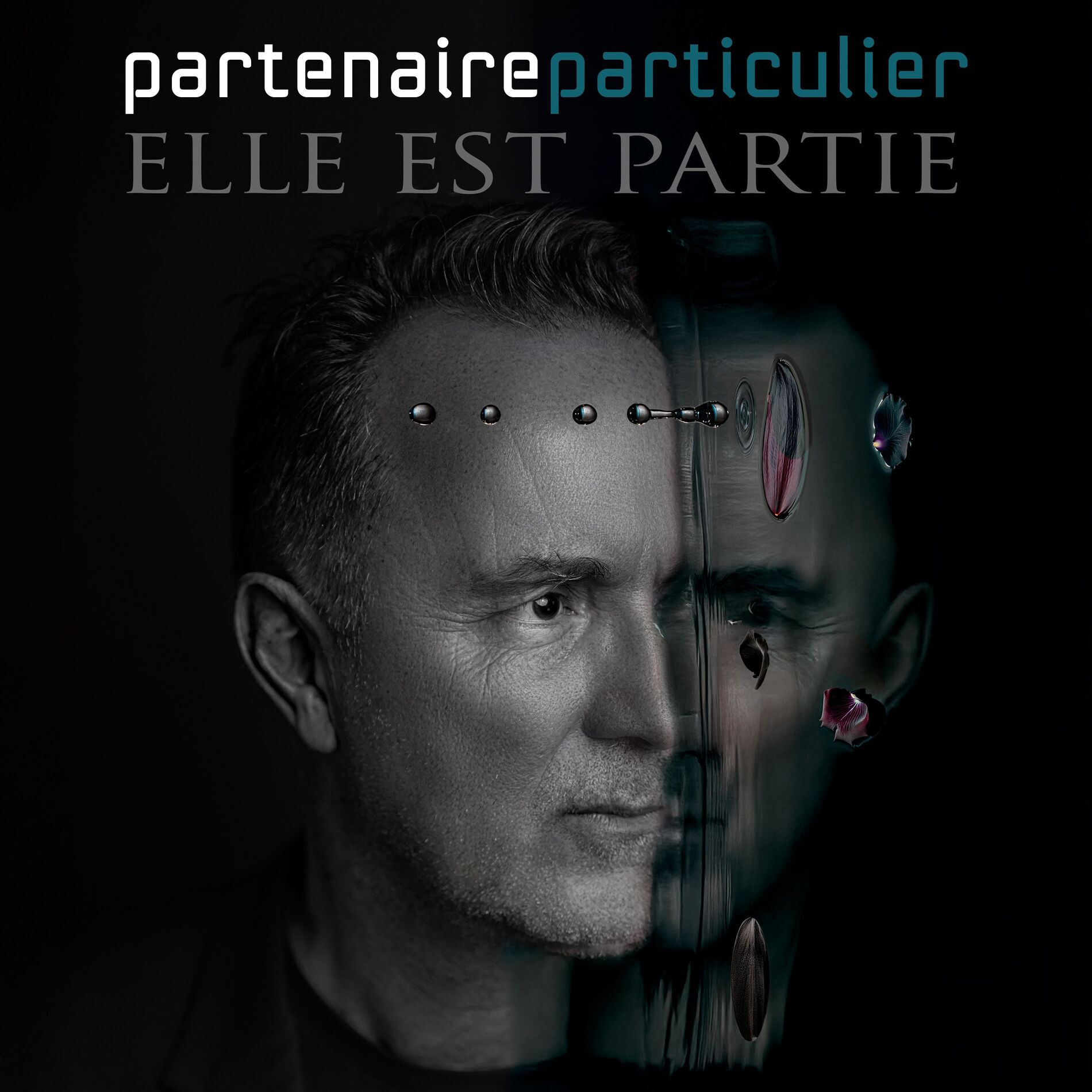Album cover of Sans contrefaçon