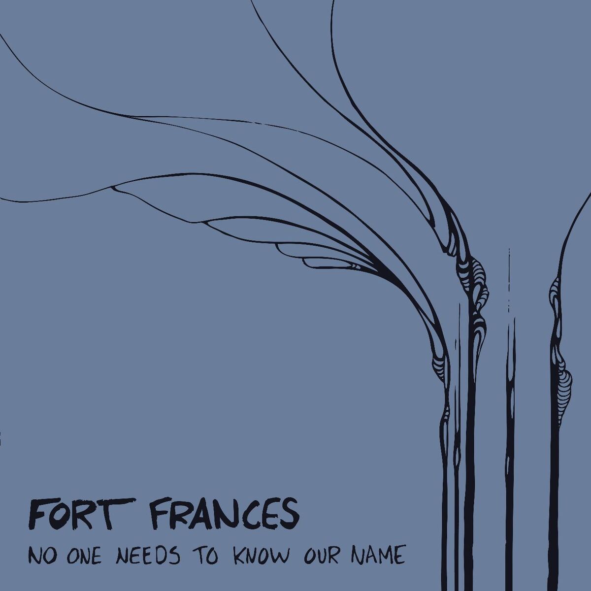 Album cover of No One Needs to Know Our Name