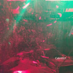 Cover of Cabri001