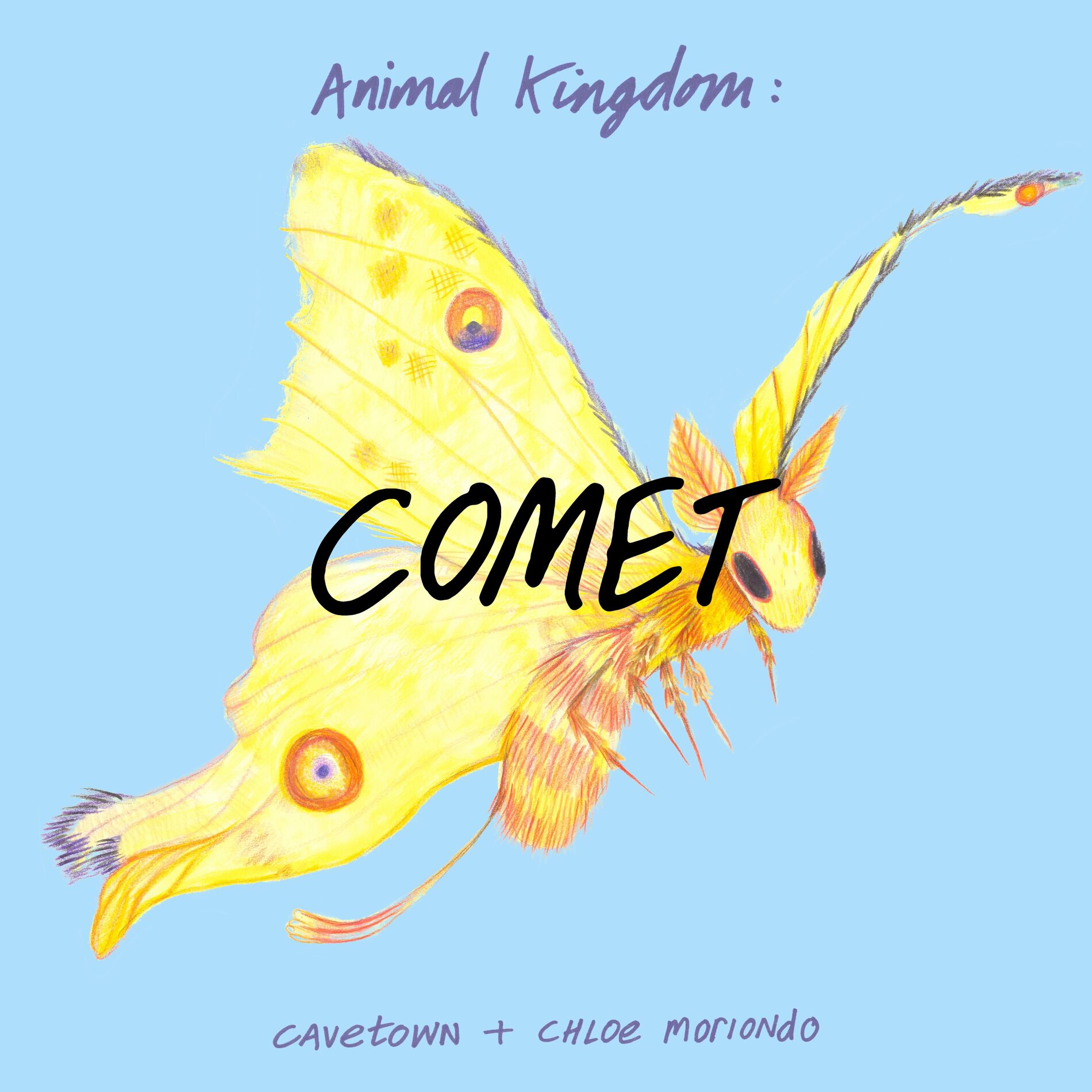 Album cover of Animal Kingdom: Comet