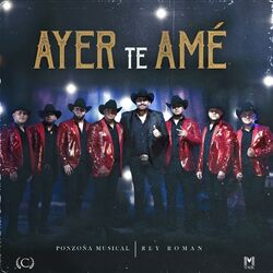 Cover of AYER TE AMÉ
