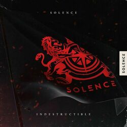 Cover of Indestructible