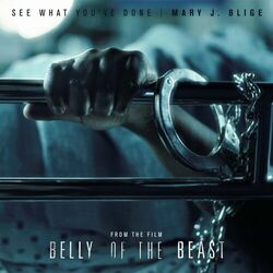 Cover of See What You've Done (From The Film Belly Of The Beast)