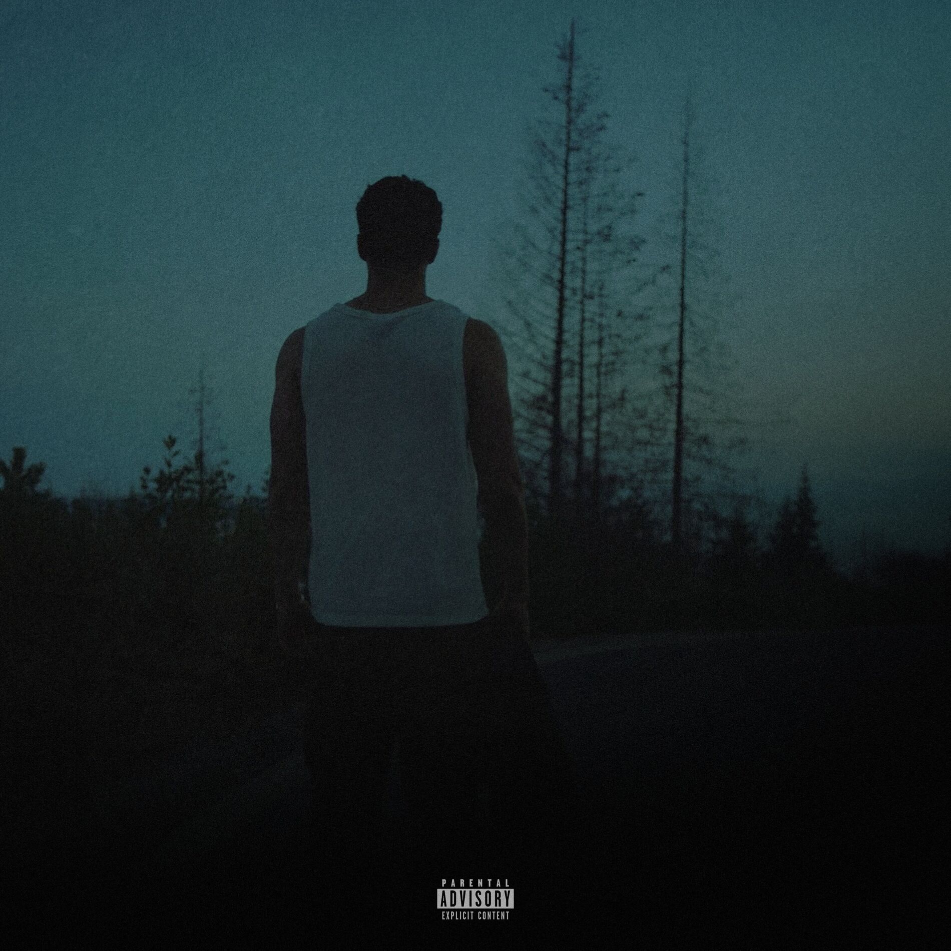 Album cover of hard feelings