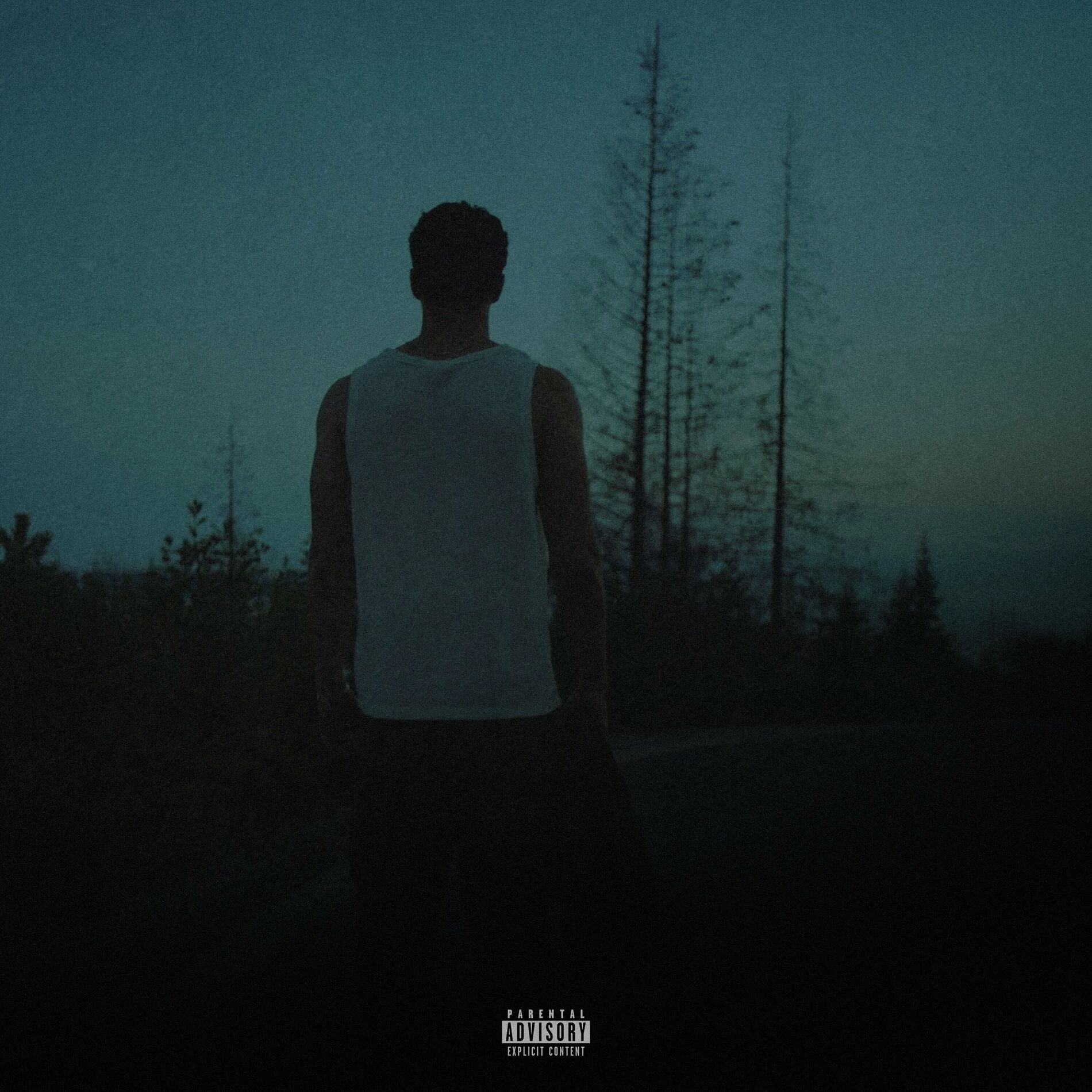 Album cover of hard feelings